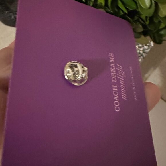 Coach Moonlight Pin - Elegance in
Every Detail - Picture 8 of 16